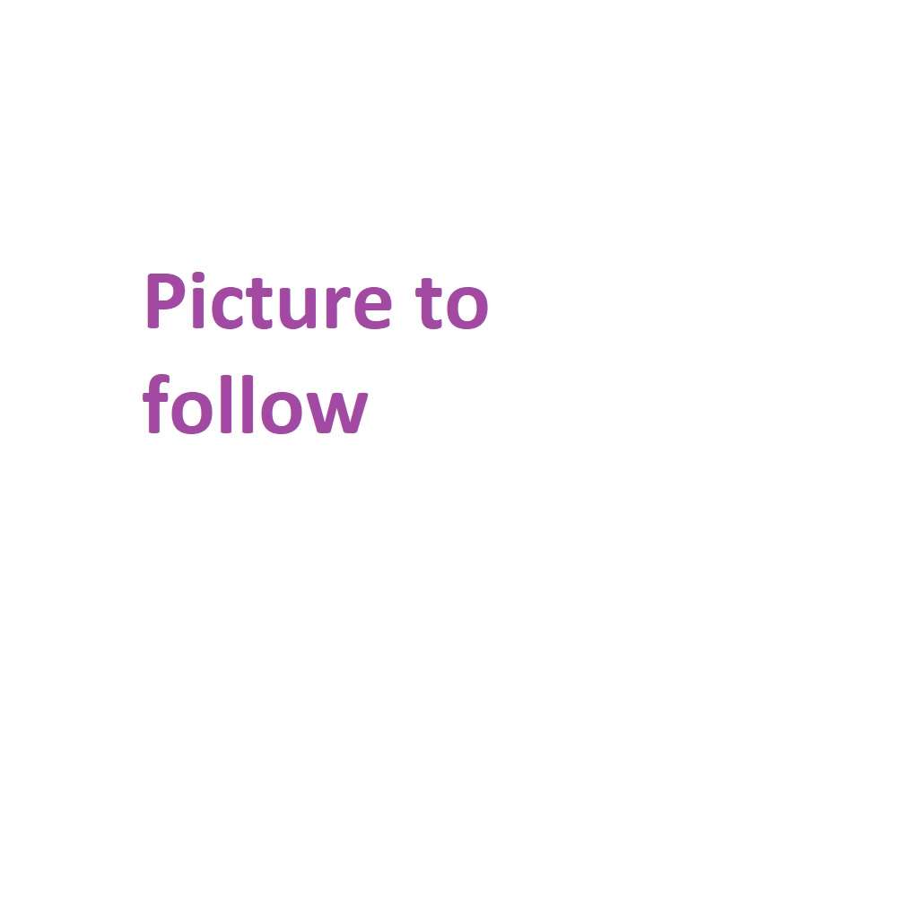 Picture to follow